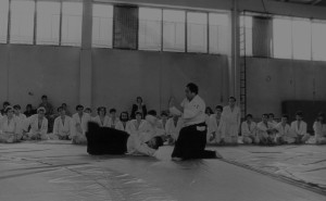 Aikido Association of America Services